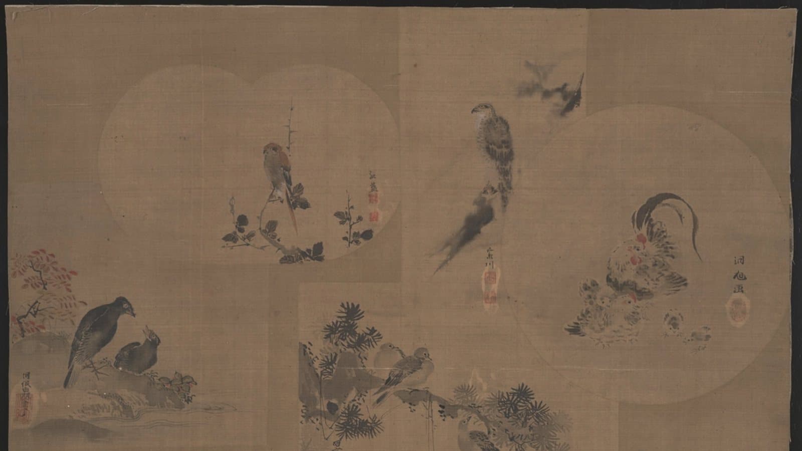 five vignettes featuring scenes birds. File photograph.