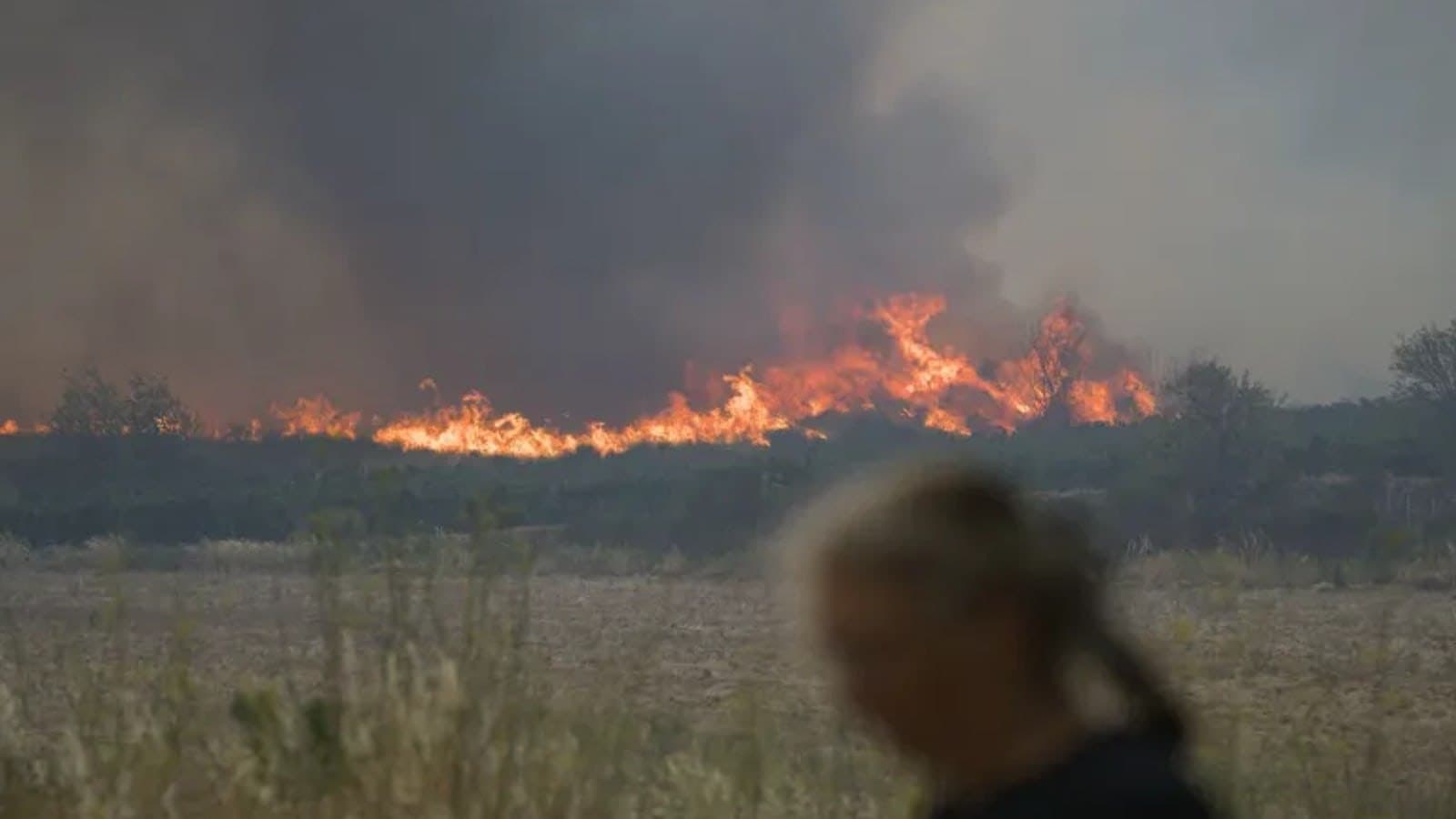 A wildfire burning along a treeline behind open scrubland, with a woman standing out of focus in the foreground. Photo d'archive.