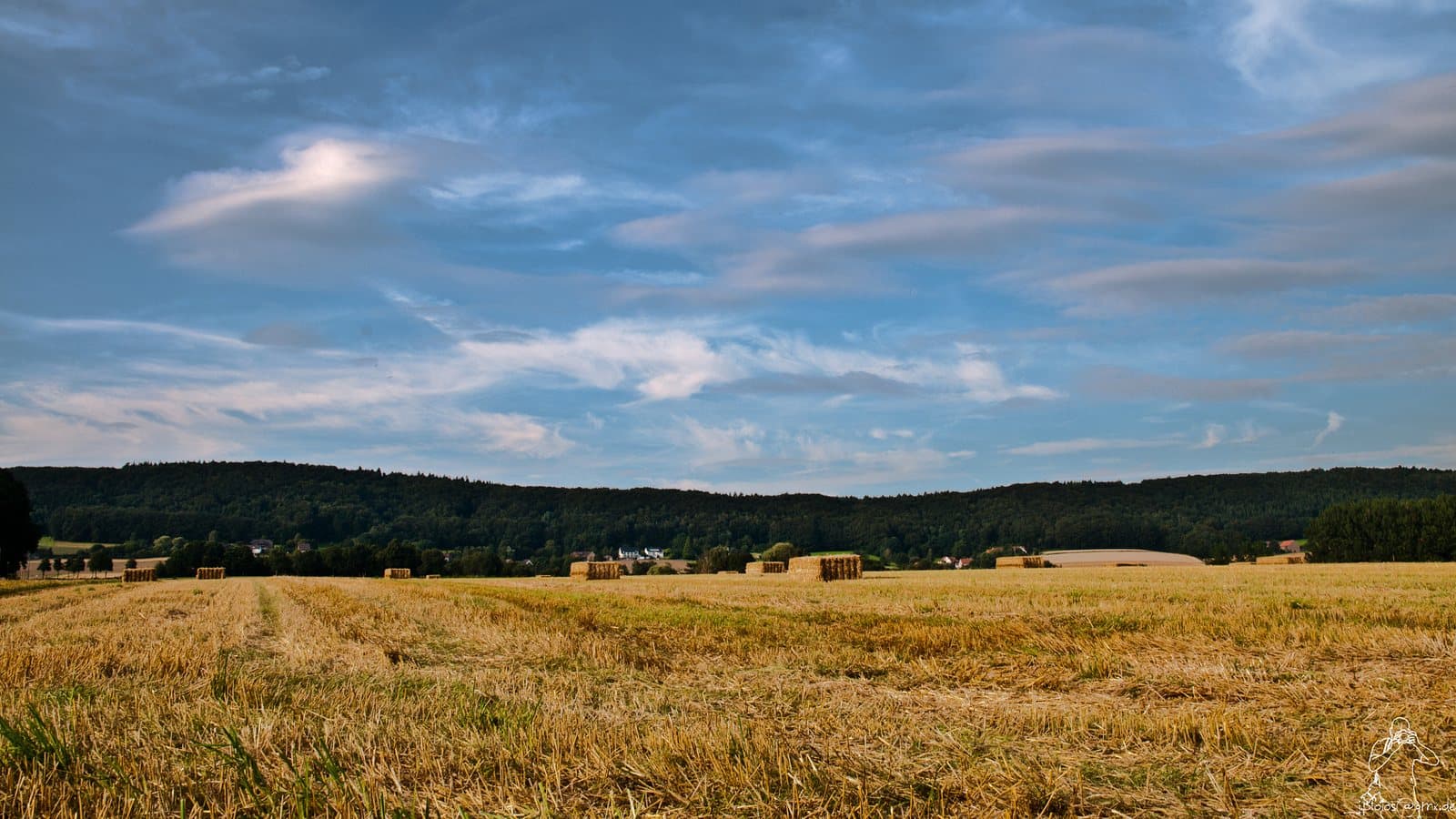 <div class='fn'> Farmland</div>. Photo d'archive.